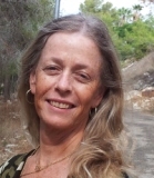 שורה תחתונה